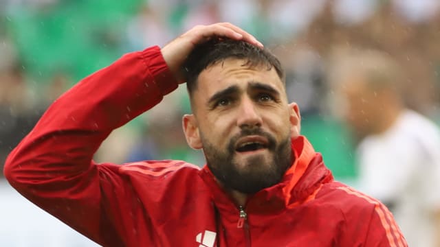 Romain Del Castillo