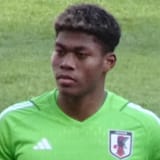Suzuki Zion