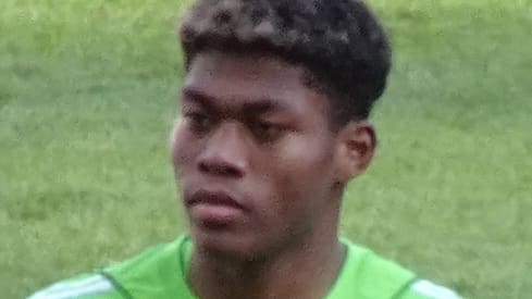 Suzuki Zion